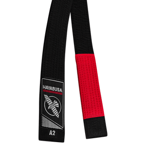 Image from a Hayabusa Jiu Jitsu Belt