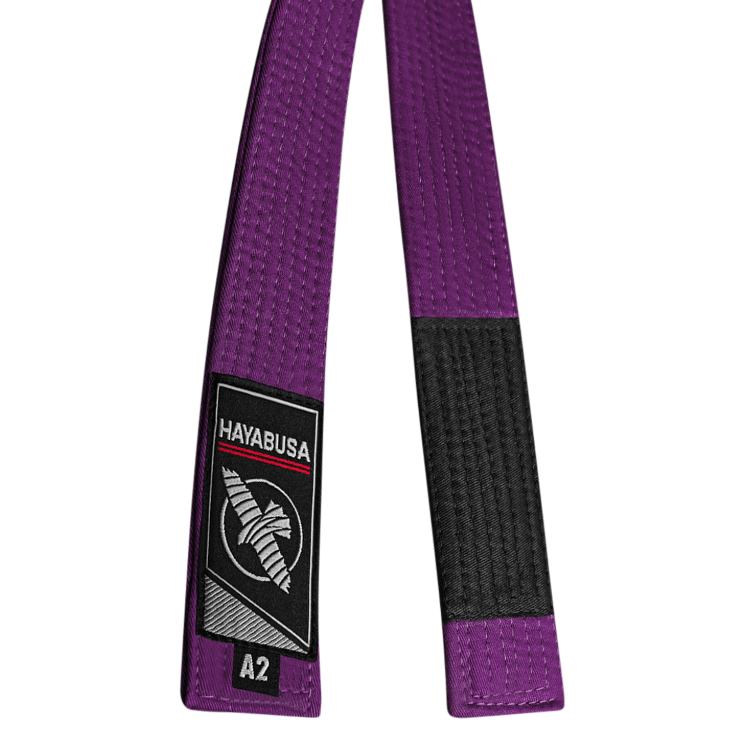 Hayabusa belt clearance